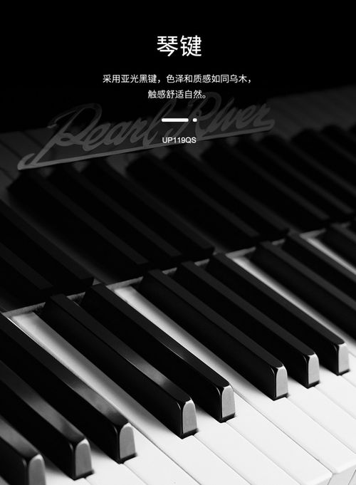 泰安珠江钢琴 恺撒堡钢琴 里特米勒钢琴 国产钢琴