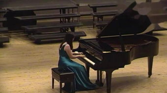 钢琴演奏 –