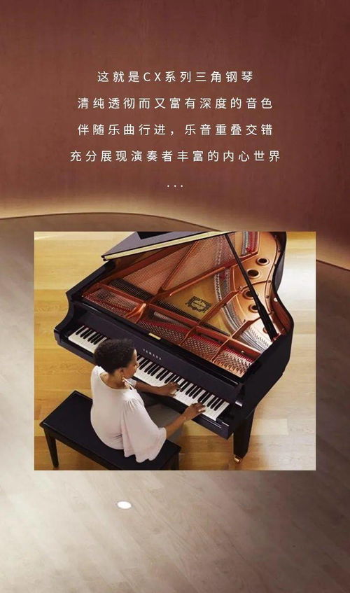 产品介绍 cx系列 这是一台会唱歌的钢琴