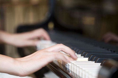 招生1对1免费预约钢琴试听课