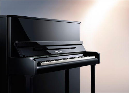 珠江钢琴回收 西宁二手钢琴回收免费估价