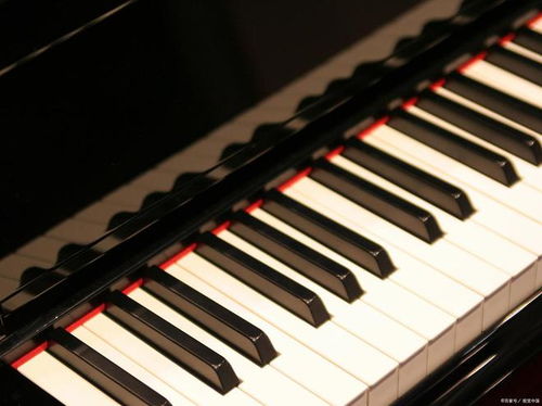 钢琴调律师证书有什么用,怎么报名的