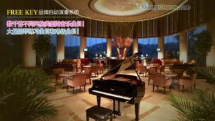 供应推荐:魅力钢琴大师 广州雅迪 FREEKEY自动演奏钢琴系统 www.freekey.cn_纺织皮革_世界工厂网中国产品信息库