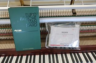 德国阿斯特钢琴at123i技术评测